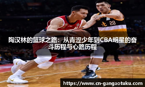 陶汉林的篮球之路：从青涩少年到CBA明星的奋斗历程与心路历程